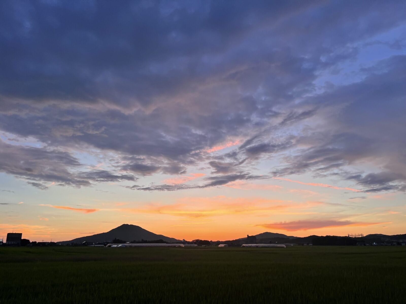 ホームページ開設しました。