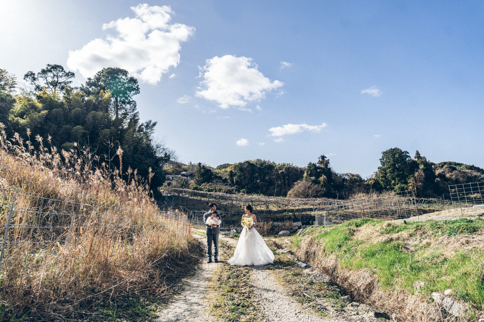 開けた森の景色