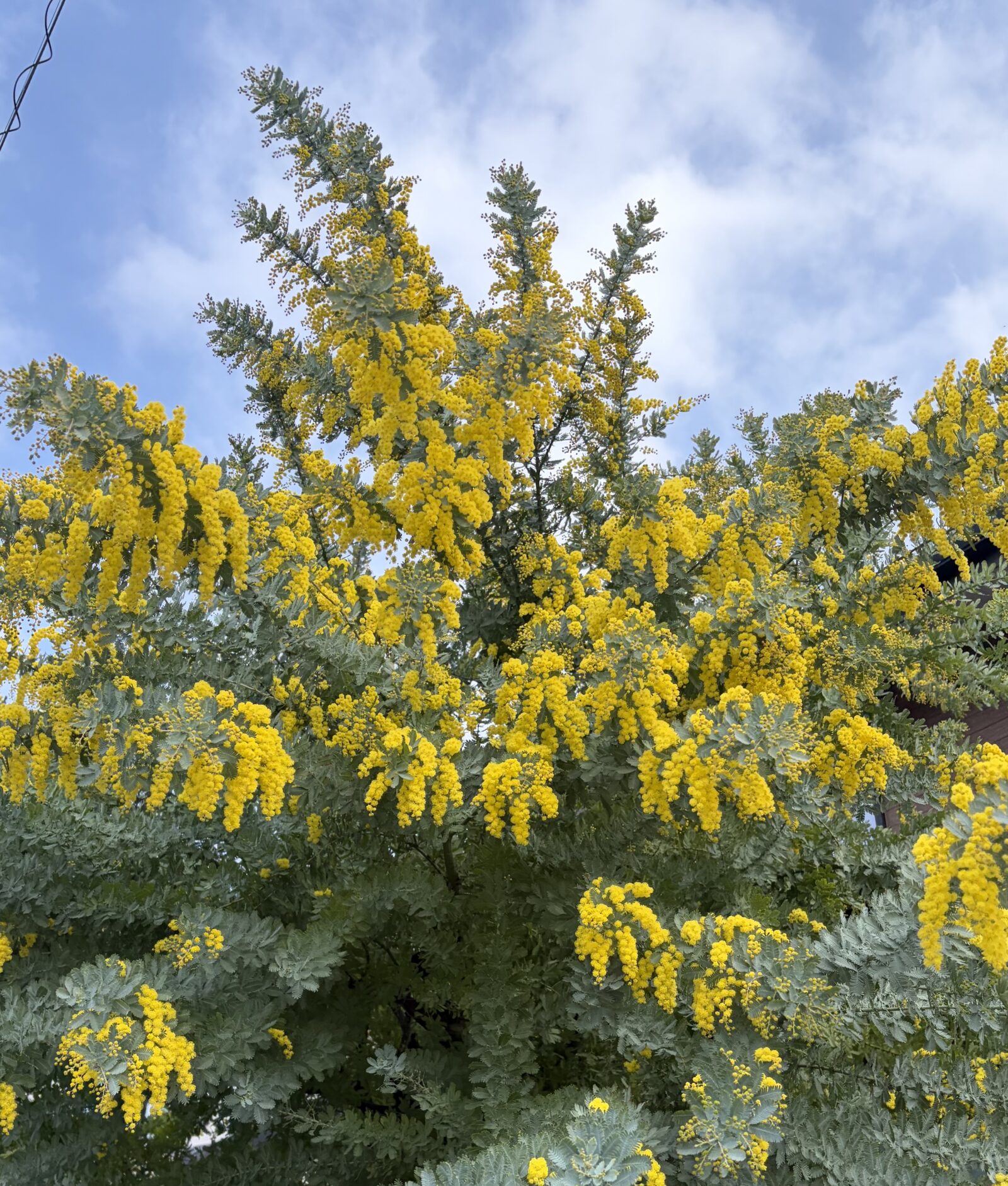 春もすぐそこですね